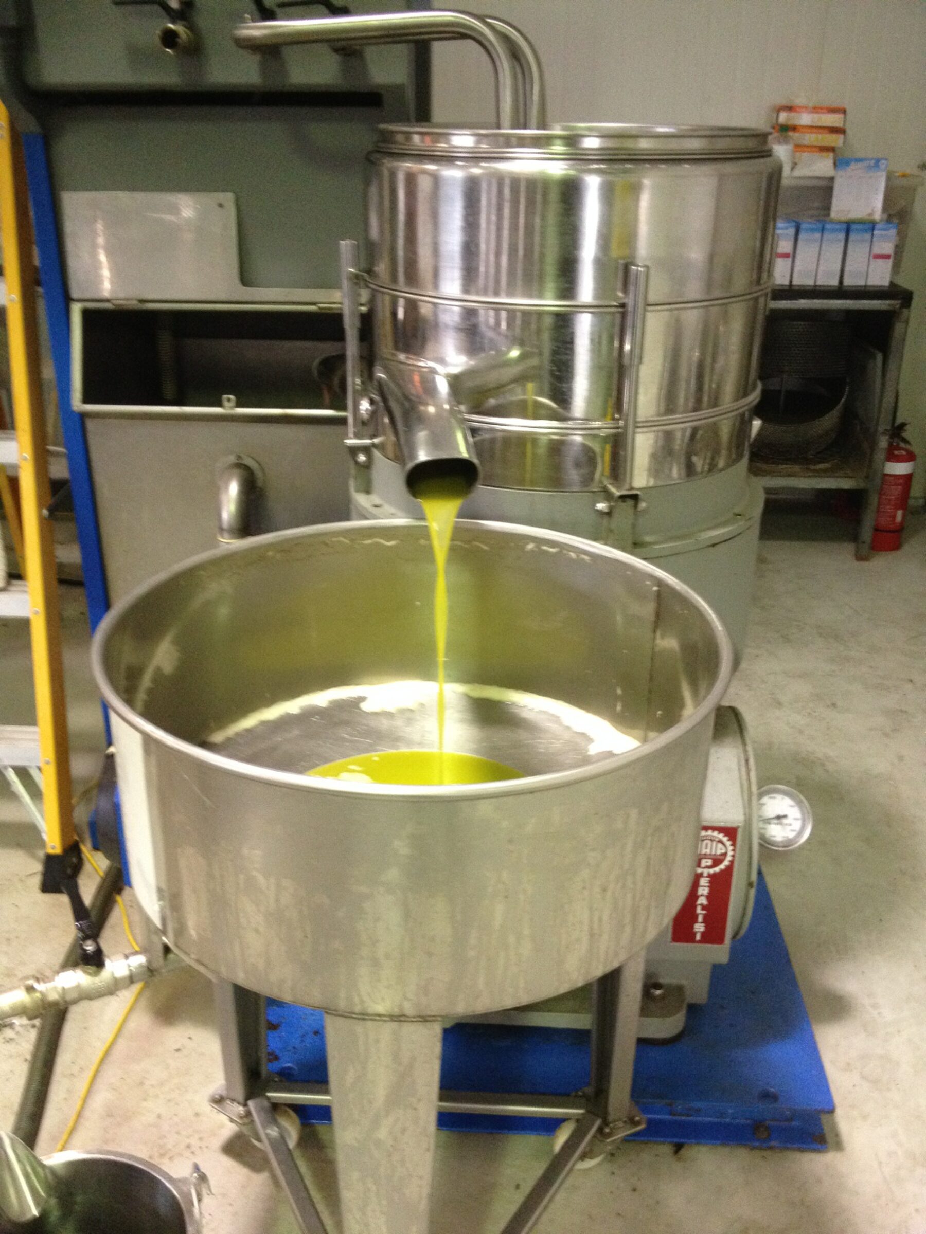 Fresh extra virgin olive oil pouring from the press at Mount of Olives